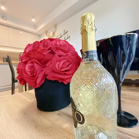 Szklarska - Zloty Jelen - Scisle Centrum - Sauna - Widok Na Gory 斯克拉斯卡波伦巴