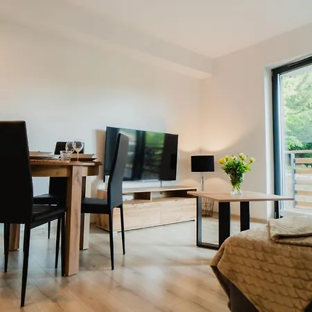 Szklarska - Zloty Jelen - Scisle Centrum - Sauna - Widok Na Gory シクラルスカ・ポレンバ