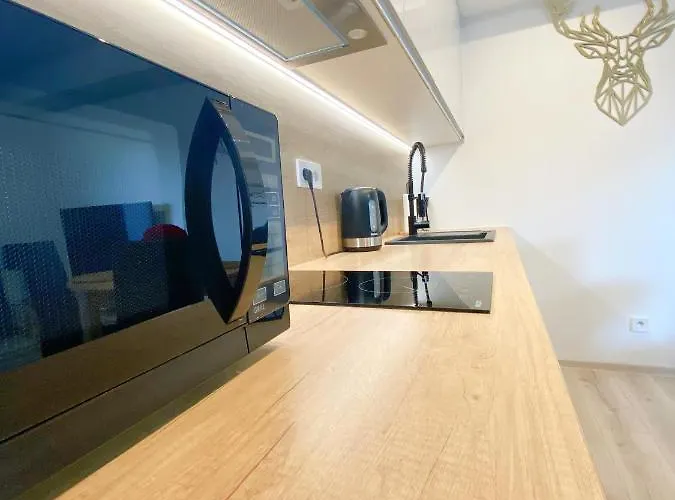 Szklarska - Zloty Jelen - Scisle Centrum - Sauna - Widok Na Gory シクラルスカ・ポレンバ